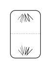 conduct normal cell division 6